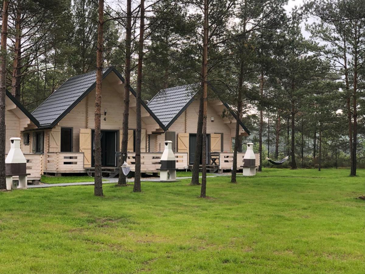 Villa Skrawek Nieba Borsk Extérieur photo