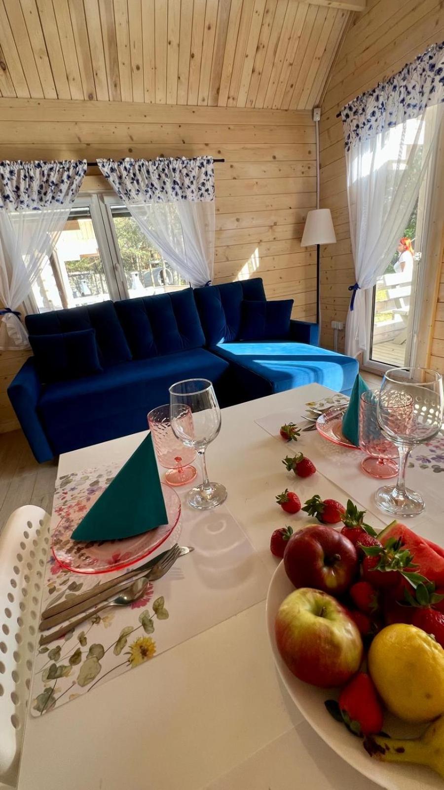 Villa Skrawek Nieba Borsk Extérieur photo