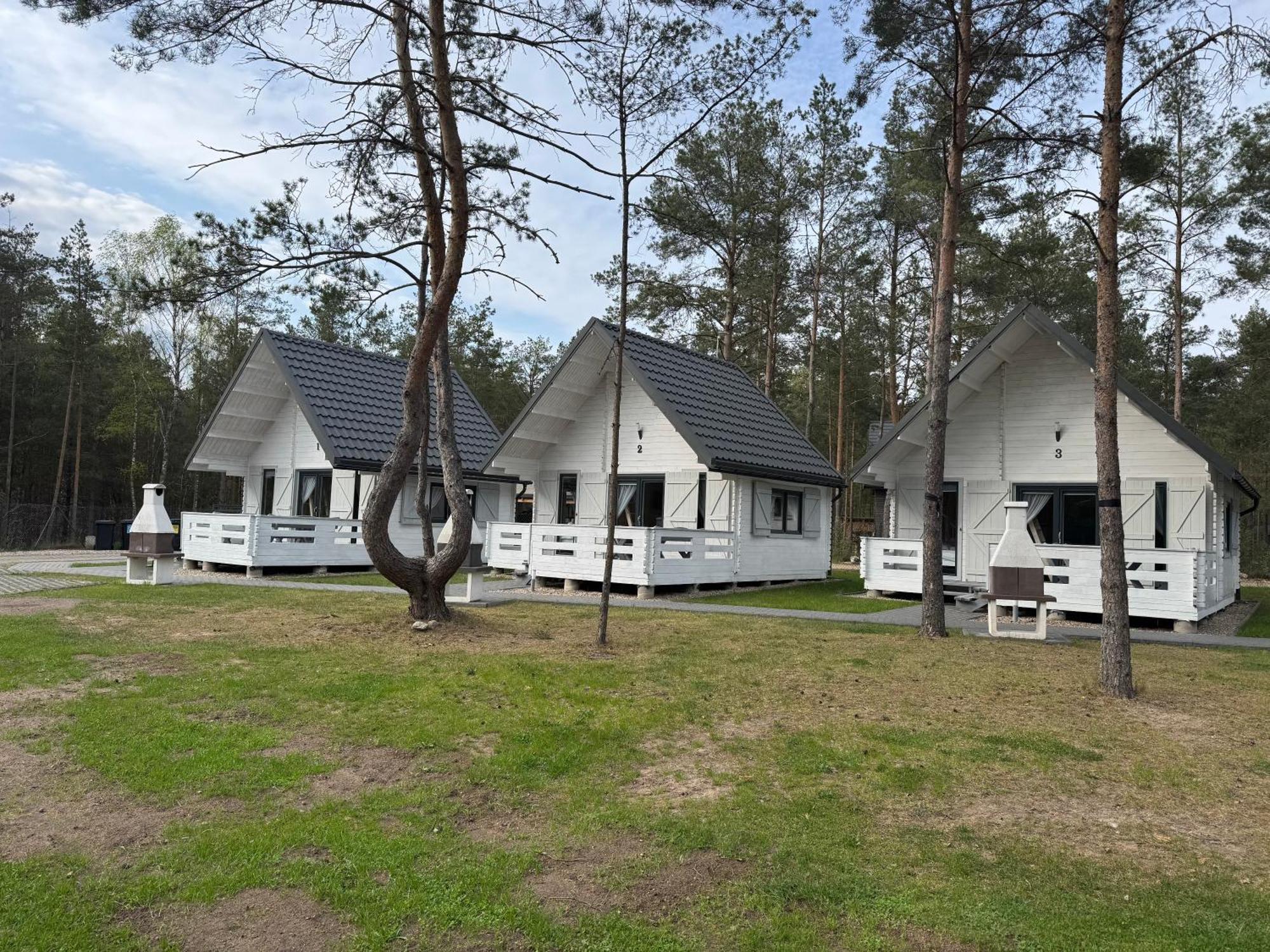Villa Skrawek Nieba Borsk Extérieur photo